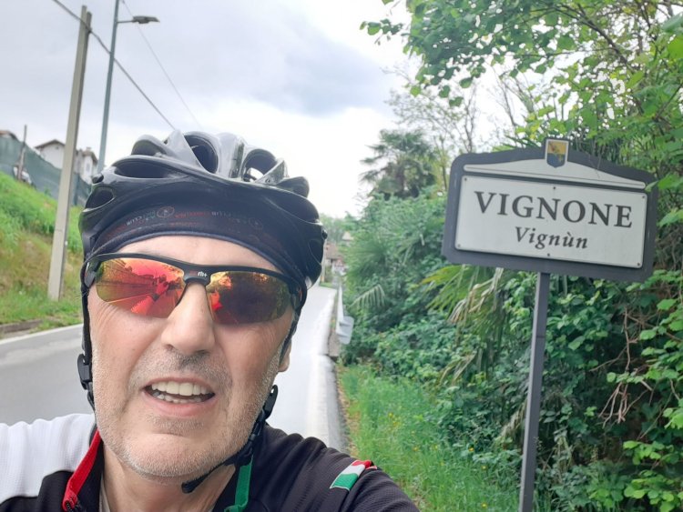 Vignone